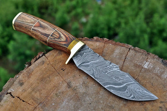 HAND FORGED DAMASCUS STEEL Hunting Knife w/ Wood & Brass Guard handle - SUSA KNIVES