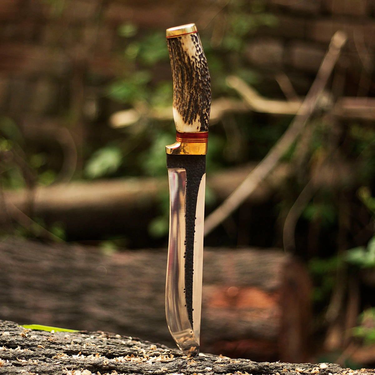 Damascus-Bowie-Knives SUSA KNIVES