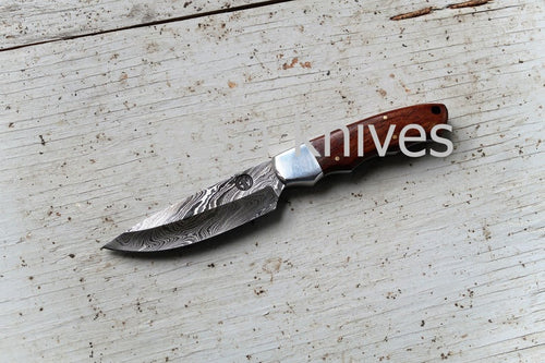 Wildcat Skinner Knife; Damascus Steel blade and Polished bolster - SUSA KNIVES