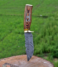 Load image into Gallery viewer, HAND FORGED DAMASCUS STEEL Hunting Knife w/ Wood &amp; Brass Guard handle - SUSA KNIVES
