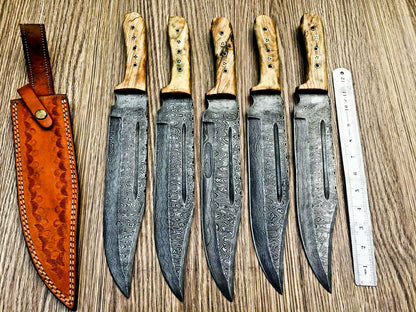 Lot of 5 Handmade Damascus Steel Bowie Knives & Sheaths | Olive Wood Handle - SUSA KNIVES