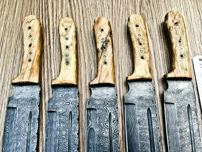 Lot of 5 Handmade Damascus Steel Bowie Knives & Sheaths | Olive Wood Handle - SUSA KNIVES