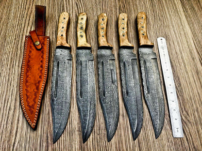 Lot of 5 Handmade Damascus Steel Bowie Knives & Sheaths | Olive Wood Handle - SUSA KNIVES