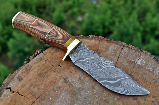 HAND FORGED DAMASCUS STEEL Hunting Knife w/ Wood & Brass Guard handle - SUSA KNIVES